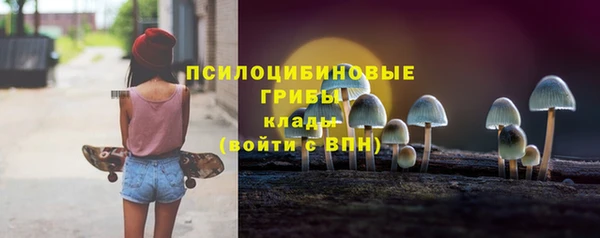тгк Беломорск