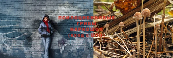 метадон Богданович